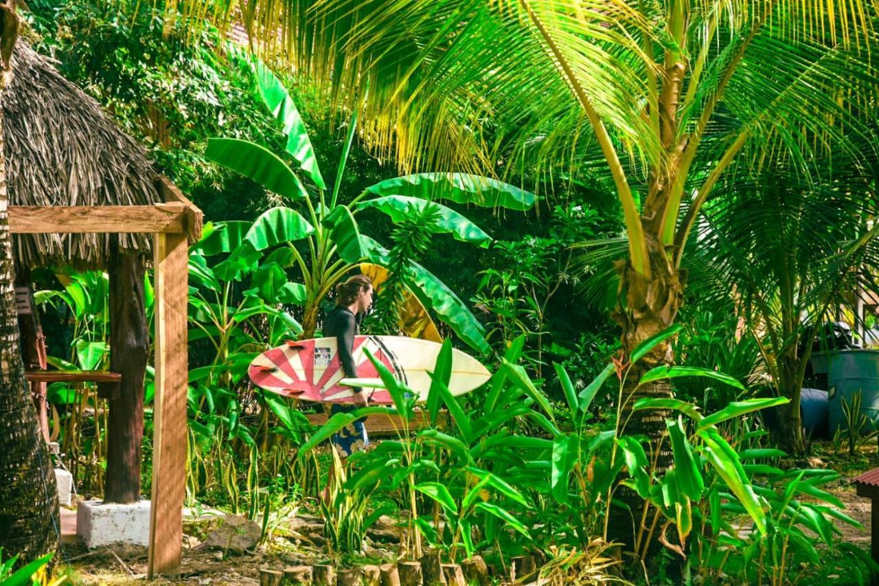 ホテル La Choza プラヤ・ベナオ エクステリア 写真